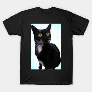 Yellow Eyed Tuxedo Cat Portrait T-Shirt